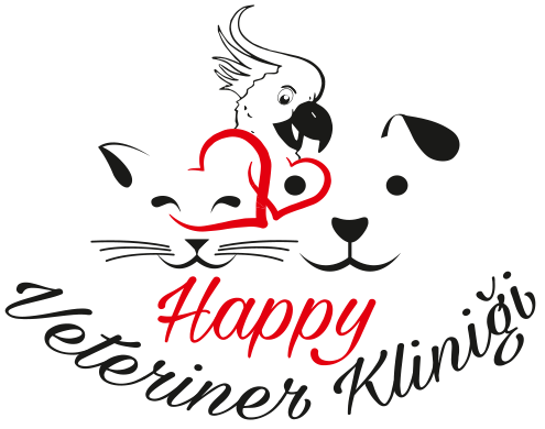 Happy Veteriner
